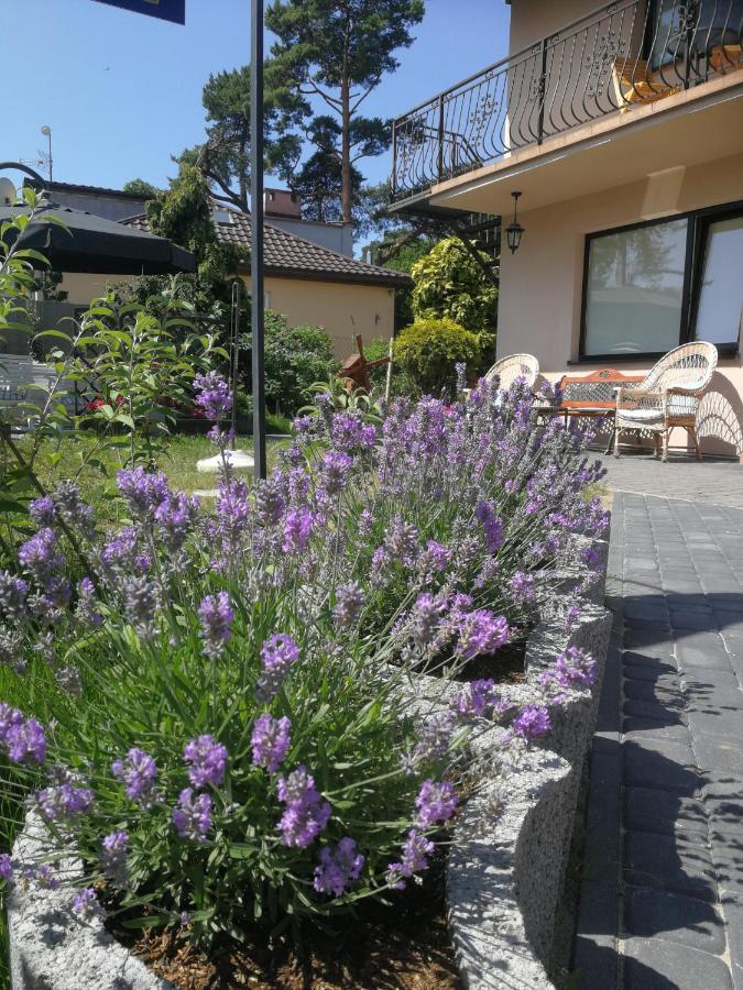 Homestay Lysica Krynica Morska