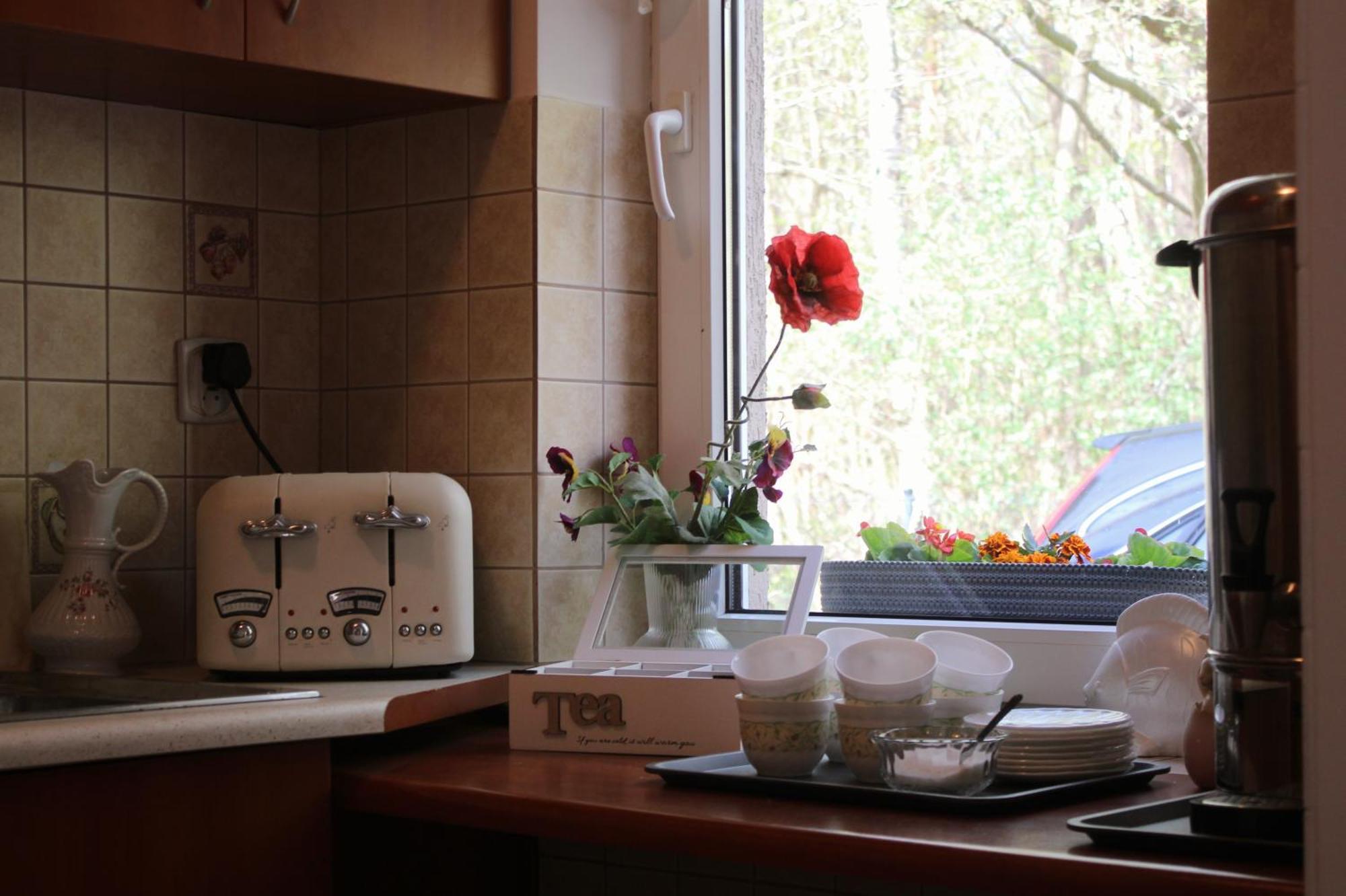 Lysica Homestay Krynica Morska
