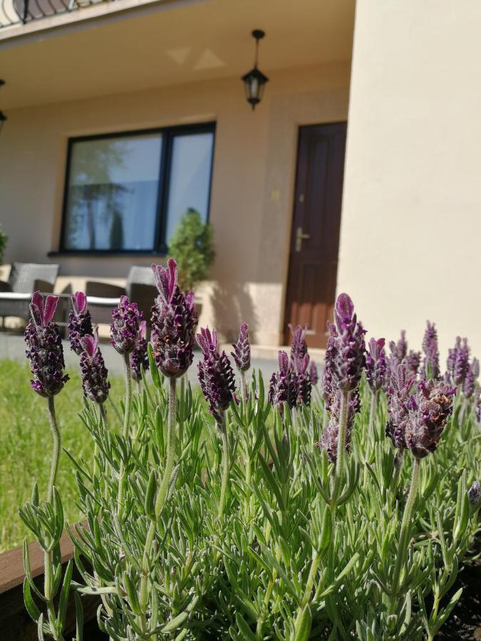 Lysica Homestay