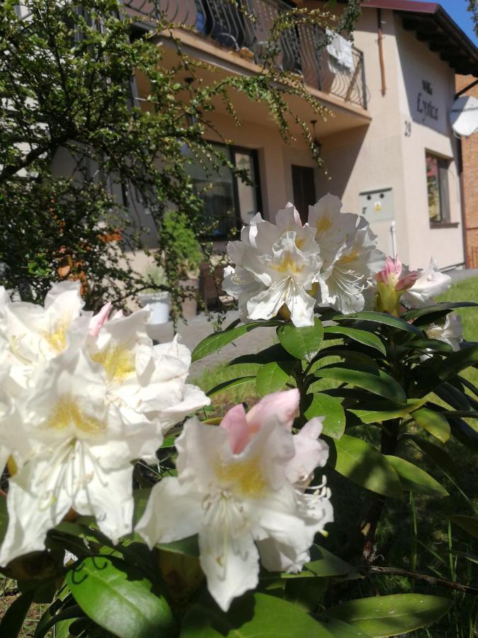 Homestay Lysica Krynica Morska